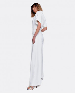 MONO DE PATA DE ELEFANTE... 2